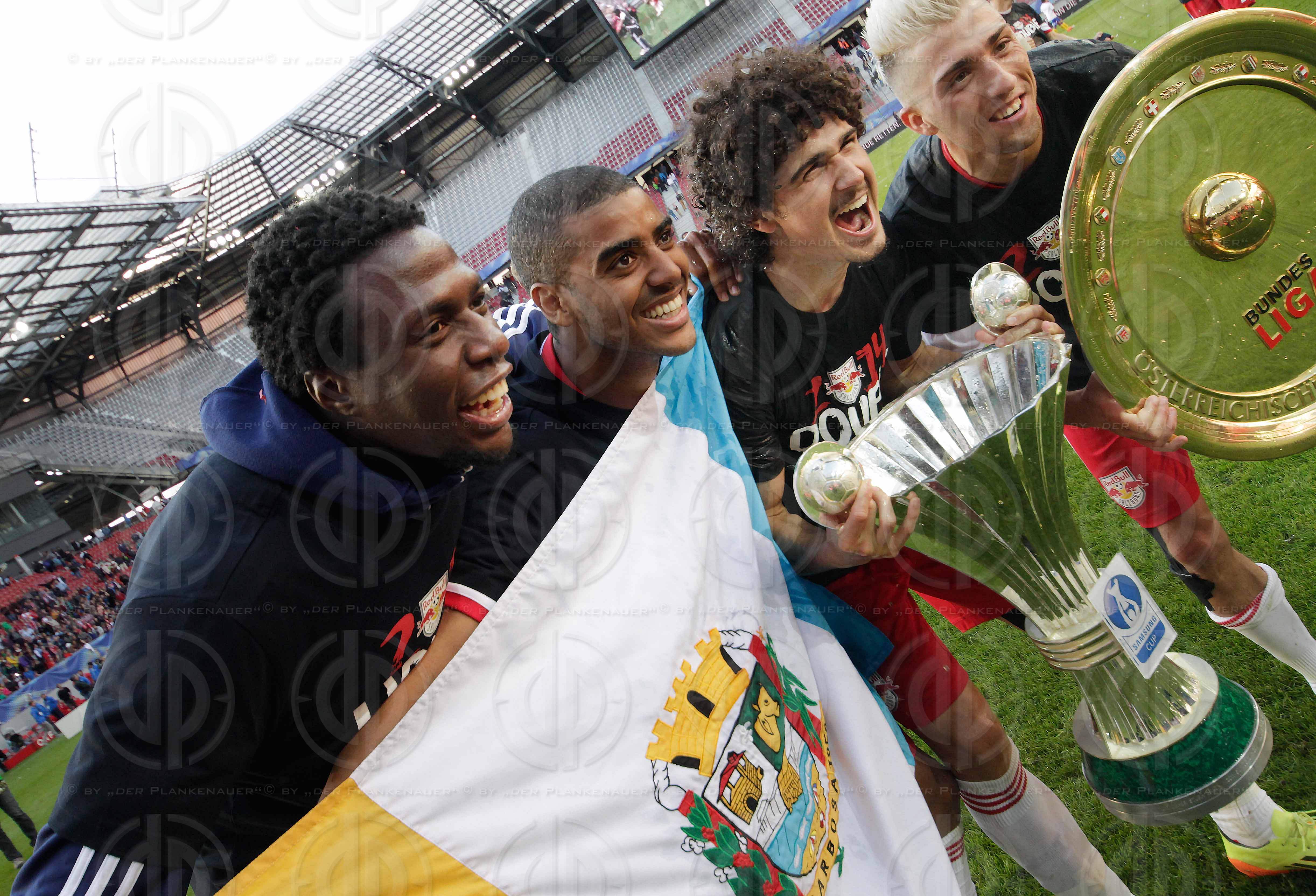 OEFB Samsung Cup Finale 2014