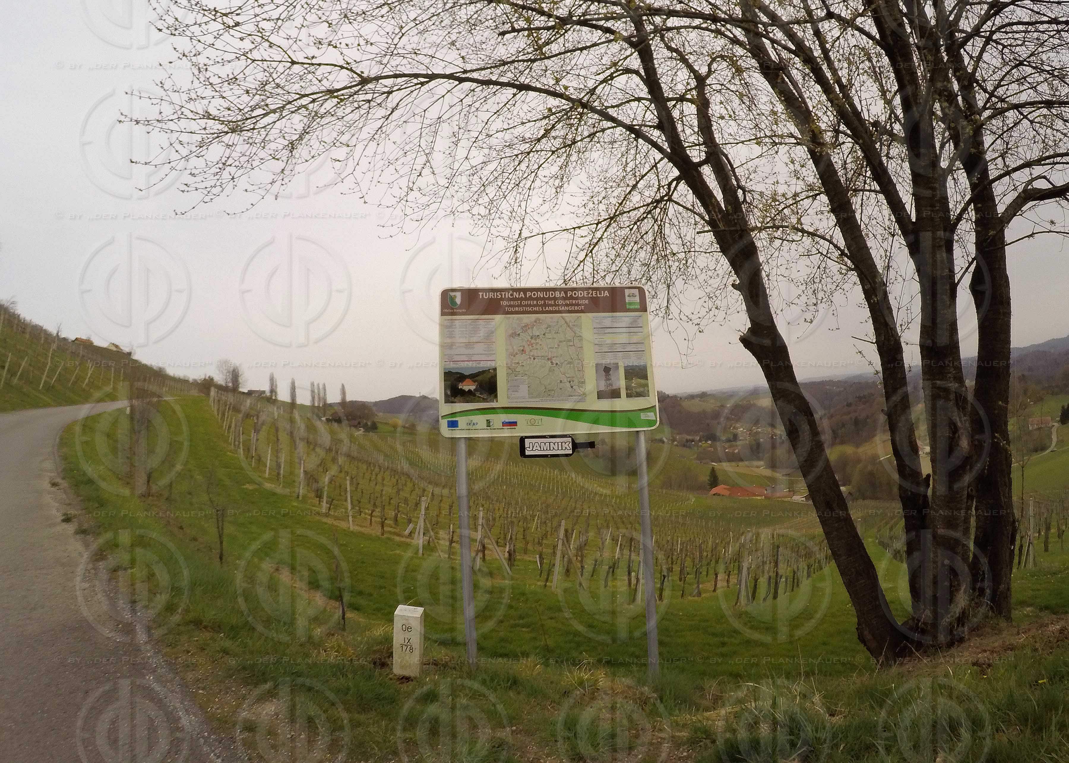 Welschlauf 2016 - neuer Streckenabschnitt