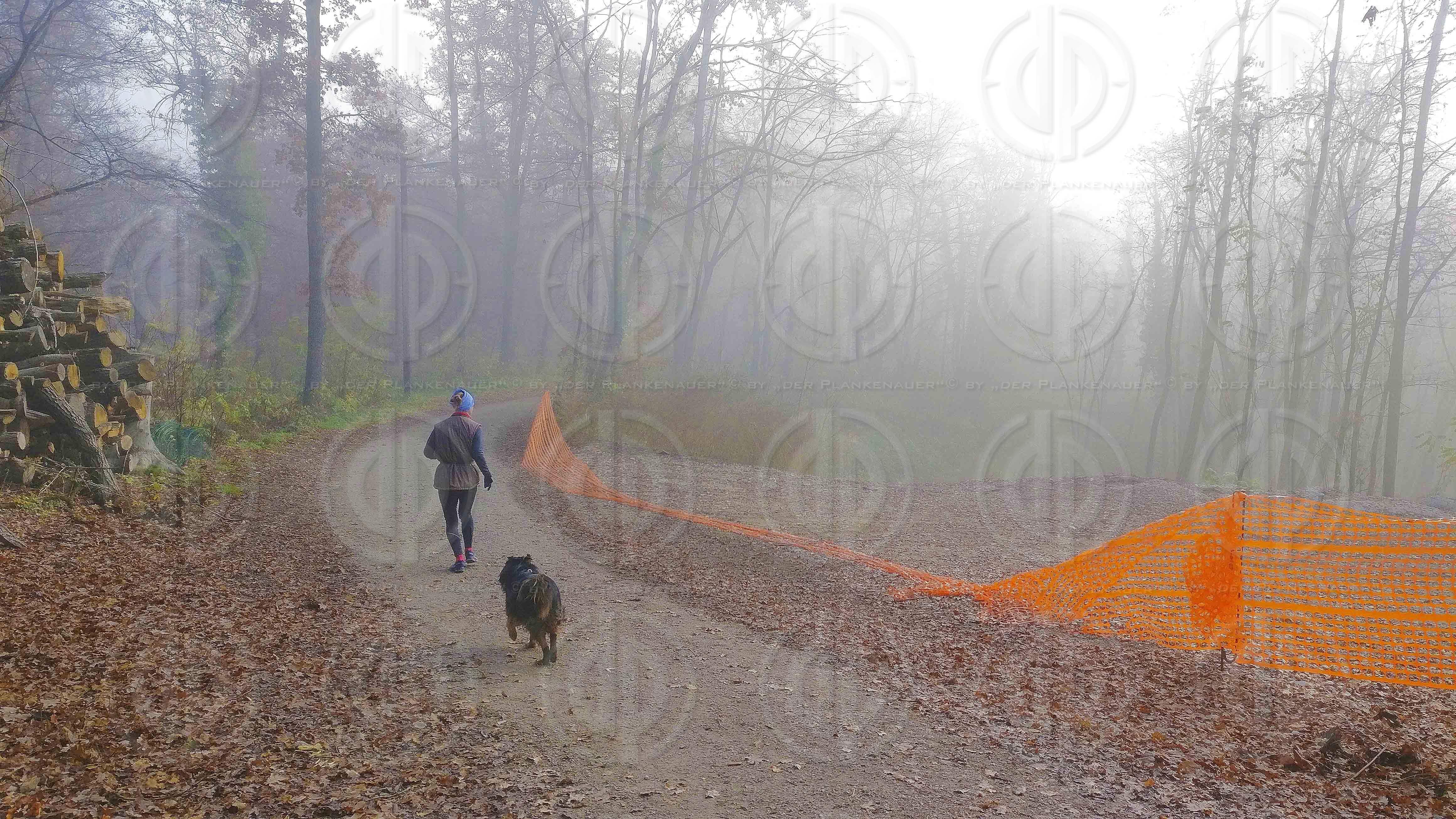 Sonntagslauf im Nebel am 21.11.2021