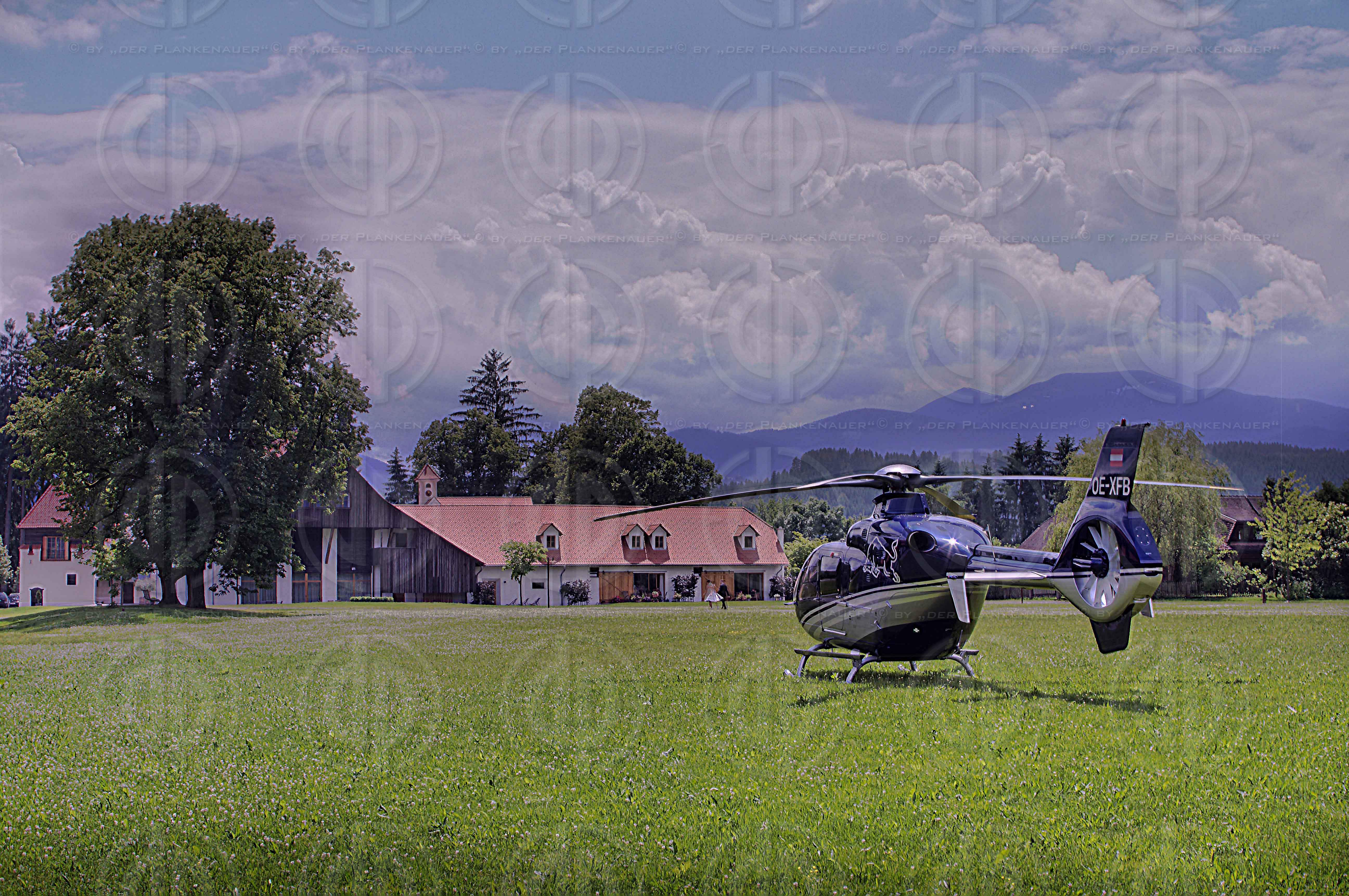 Grand Prix von Oesterreich 2014 Vorberichte