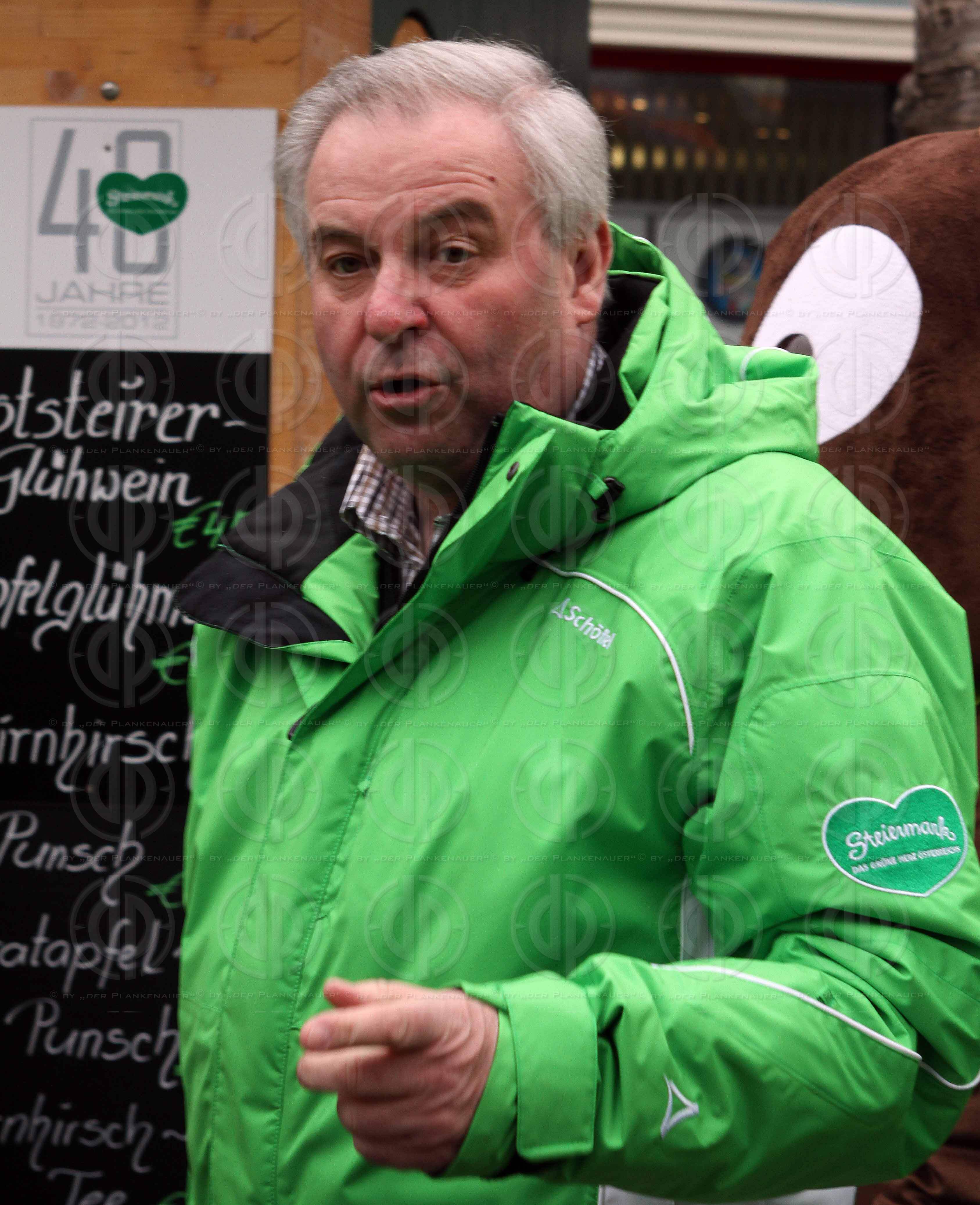 FIS Alpine Ski-WM Schladming 2013