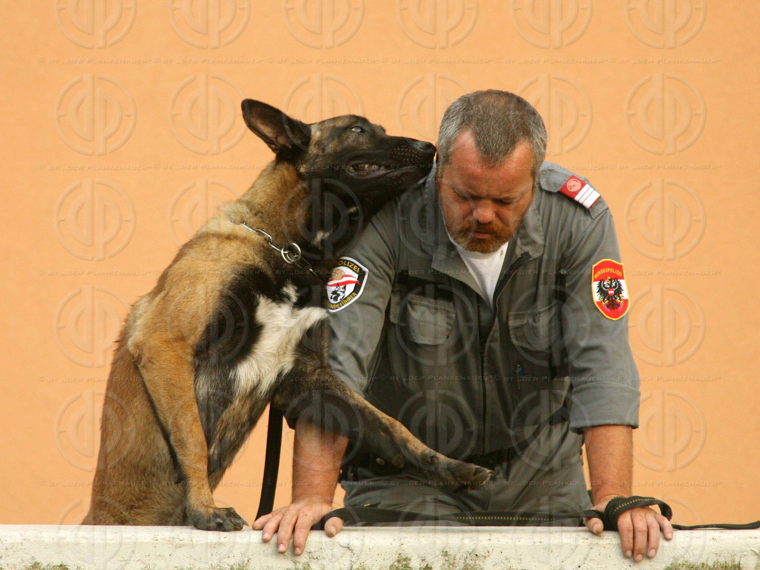 Herr und Hund beim Fussball