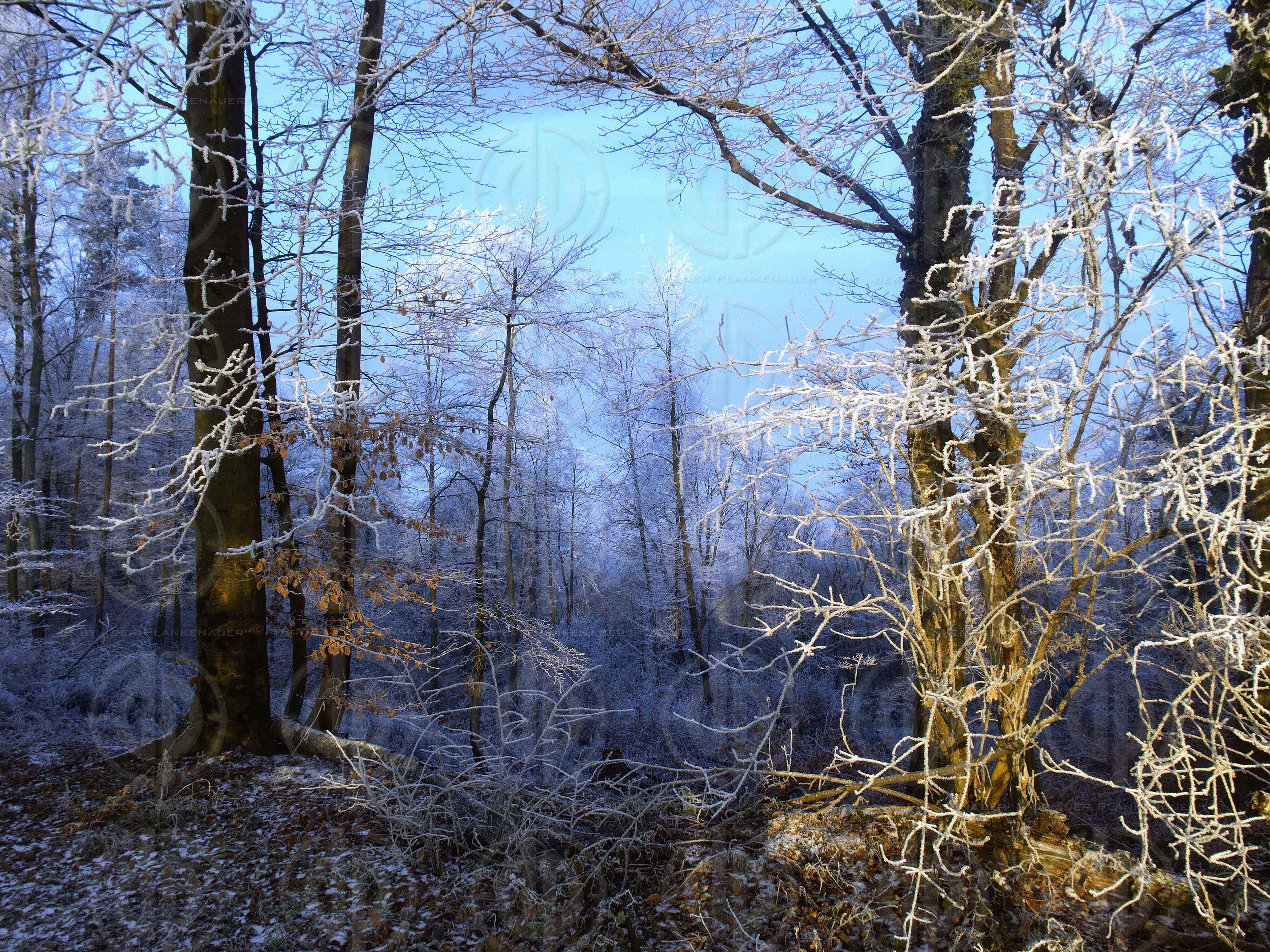 Steirische Landschaften