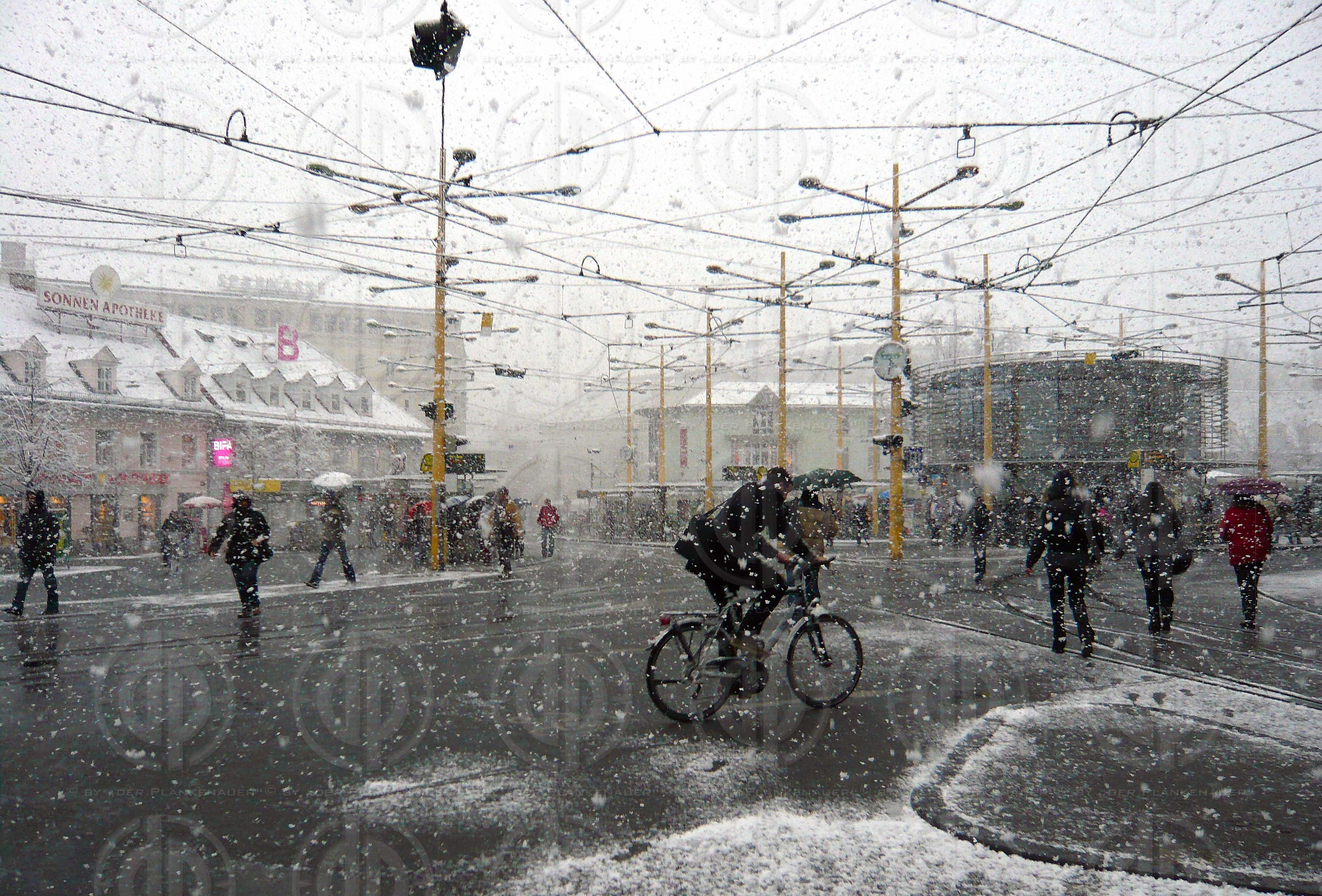 Schnee zum Fruehlingsbeginn