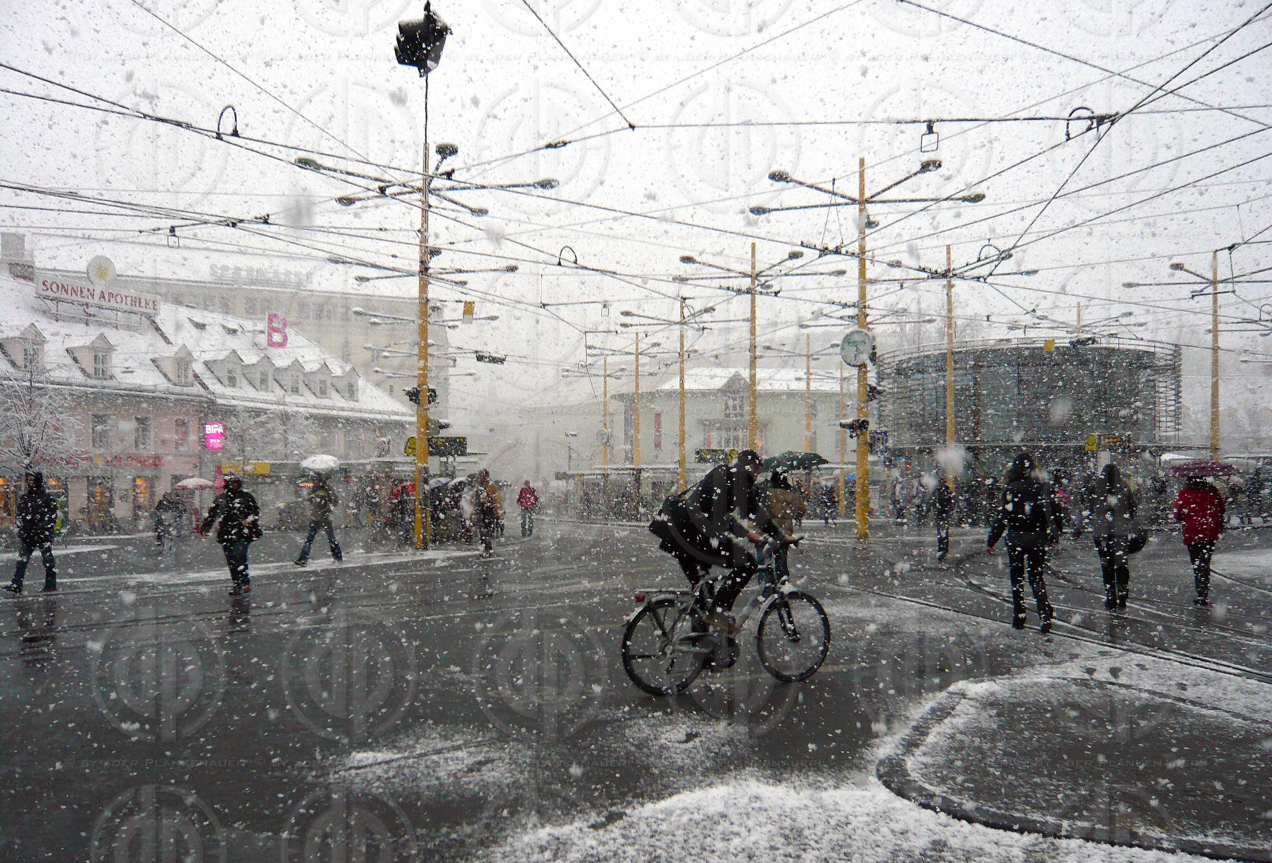 Schnee zum Fruehlingsbeginn