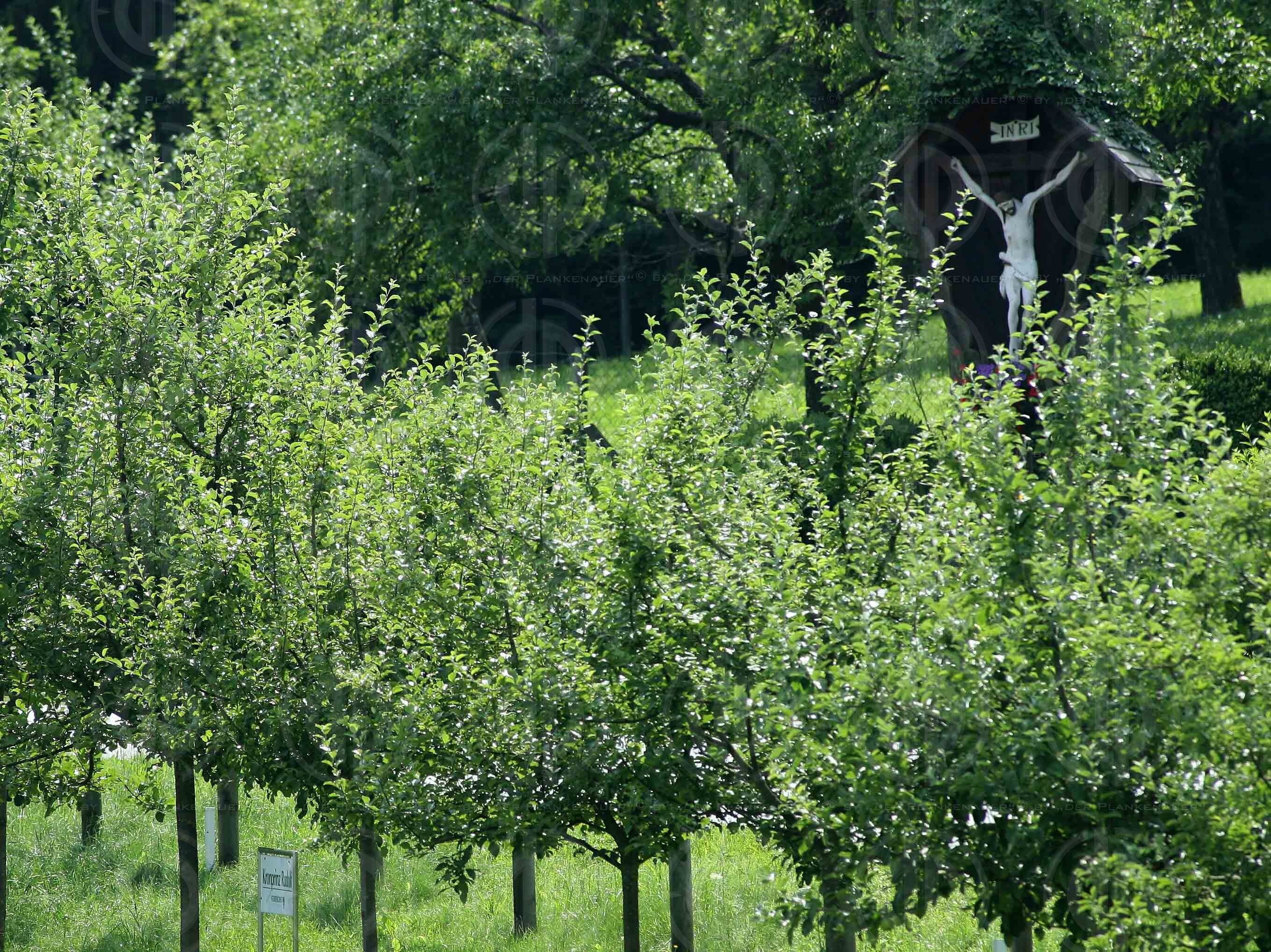 Das Institut-Charity Golf Einladungsturnier-Bewerb
