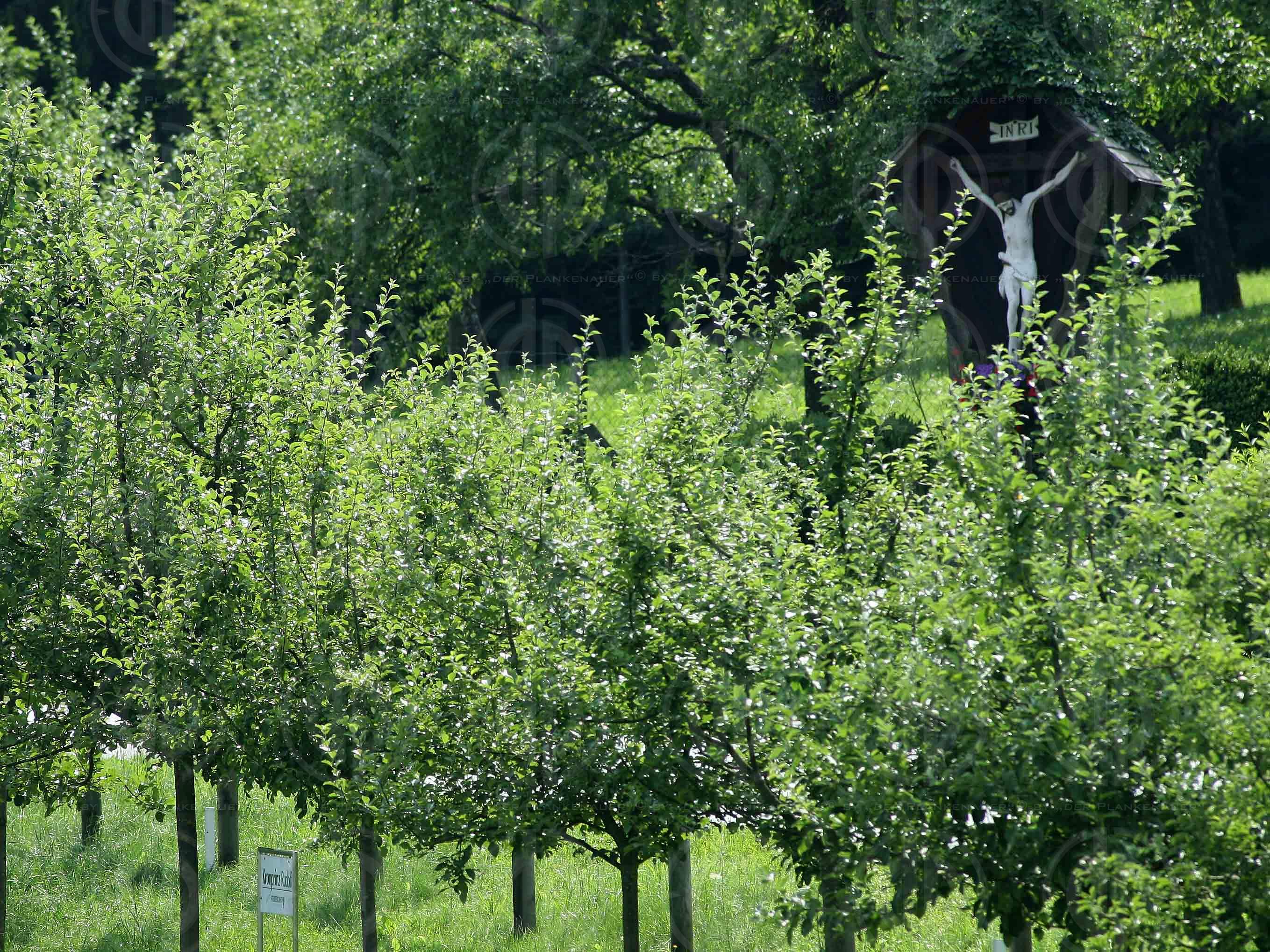 Das Institut-Charity Golf Einladungsturnier-Bewerb