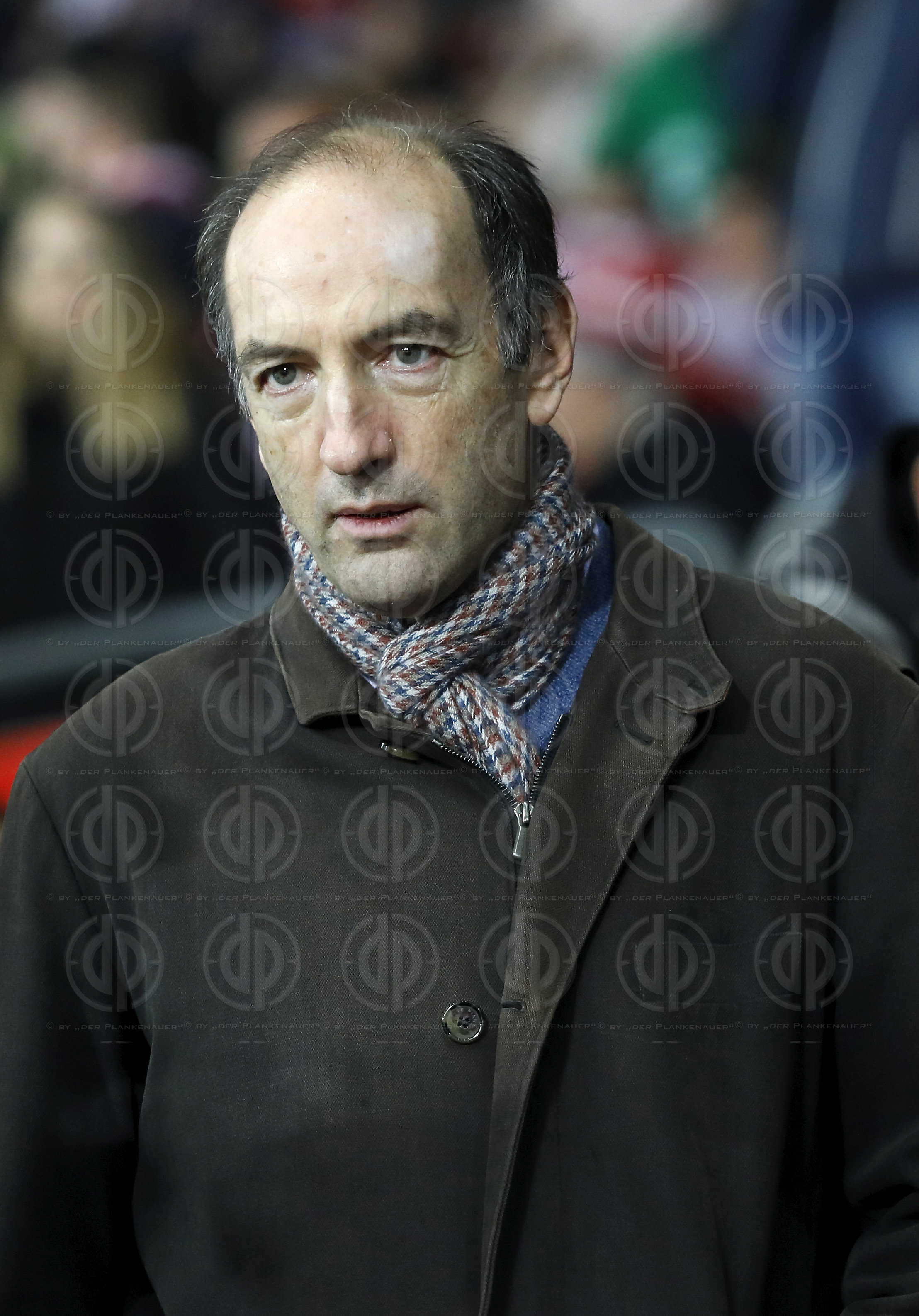 Länderspiel EM-Q. Österreich vs. Polen (0:1)