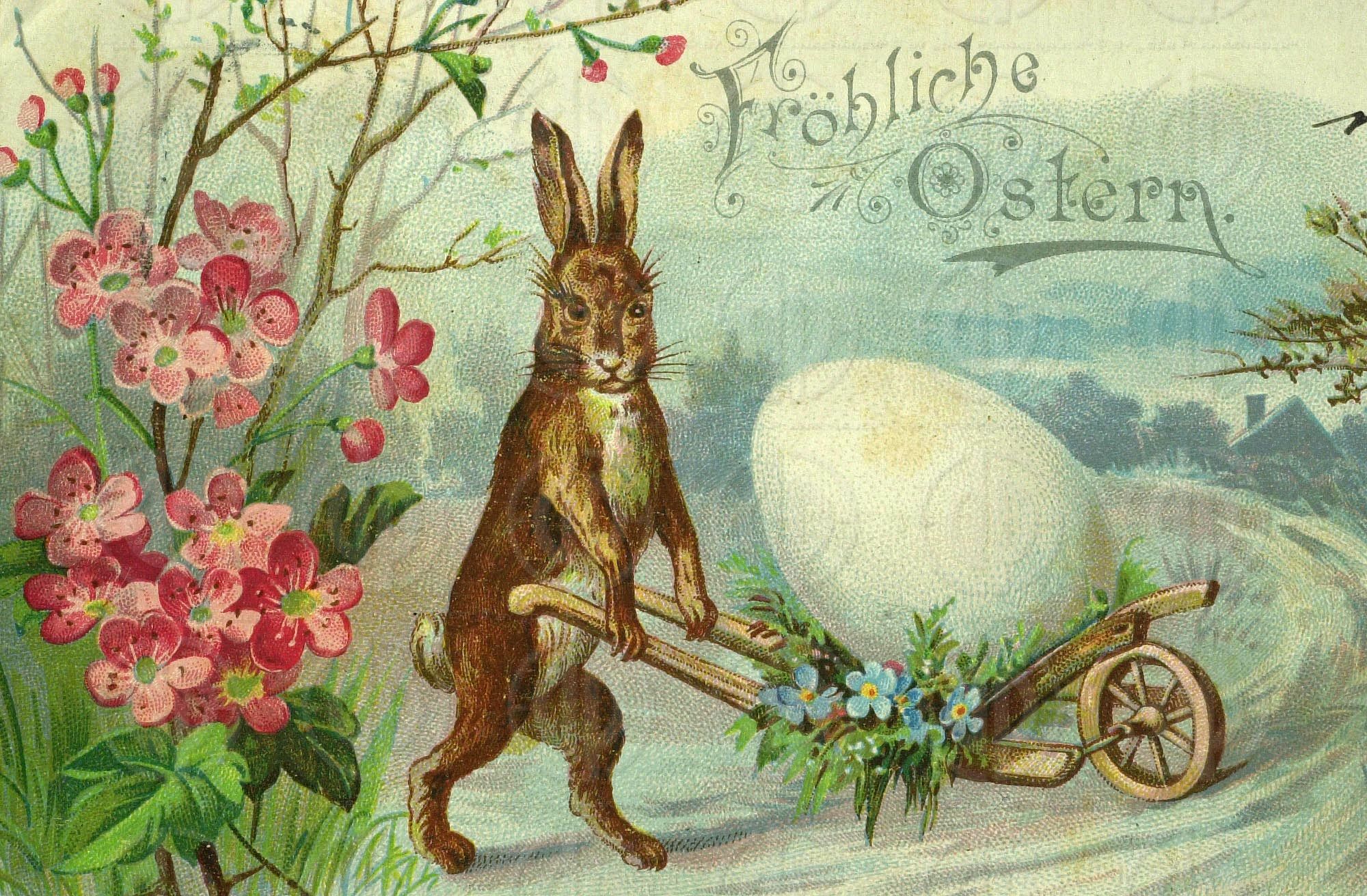 Ostermotiv Osterhase