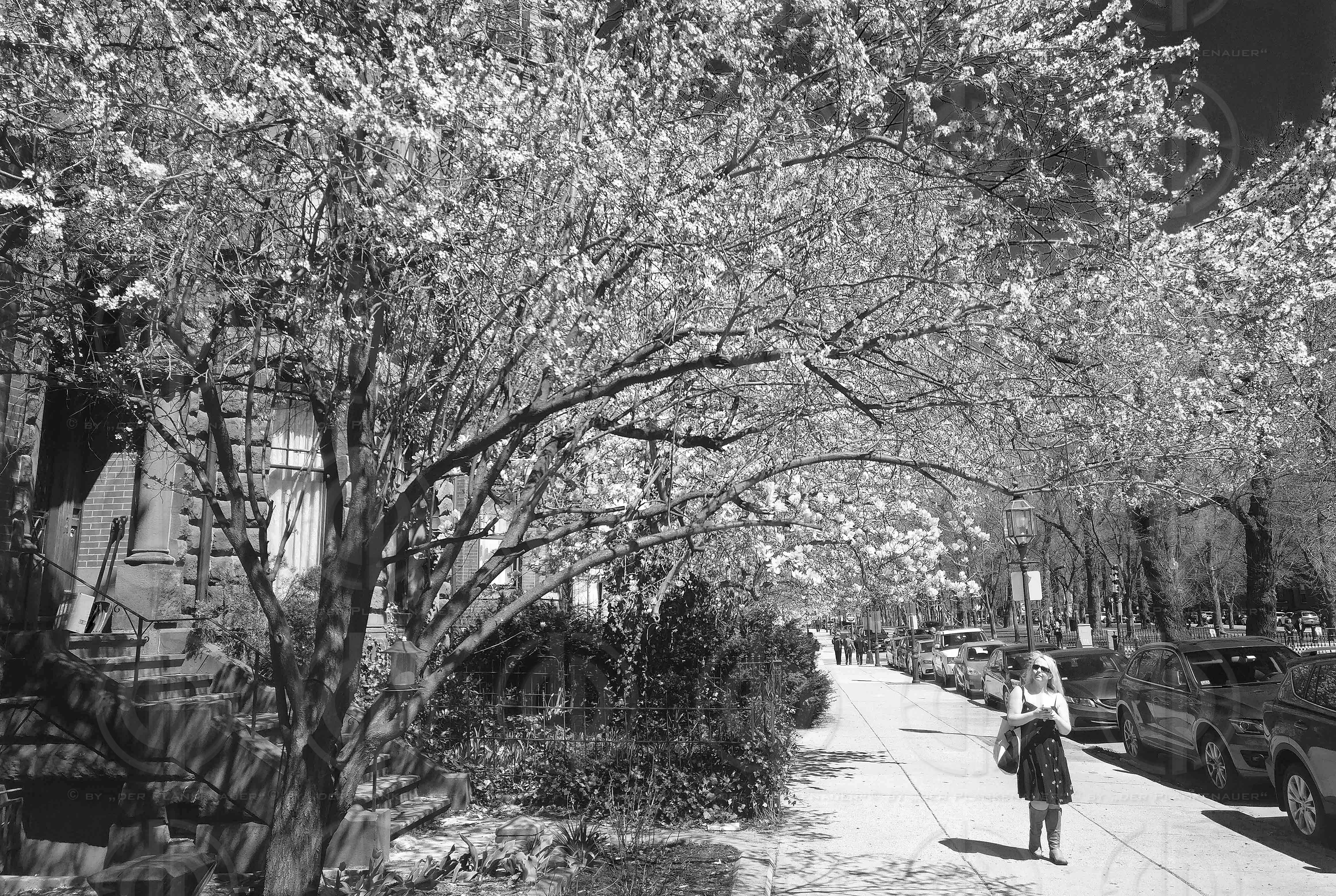 Boston Marathon 2019