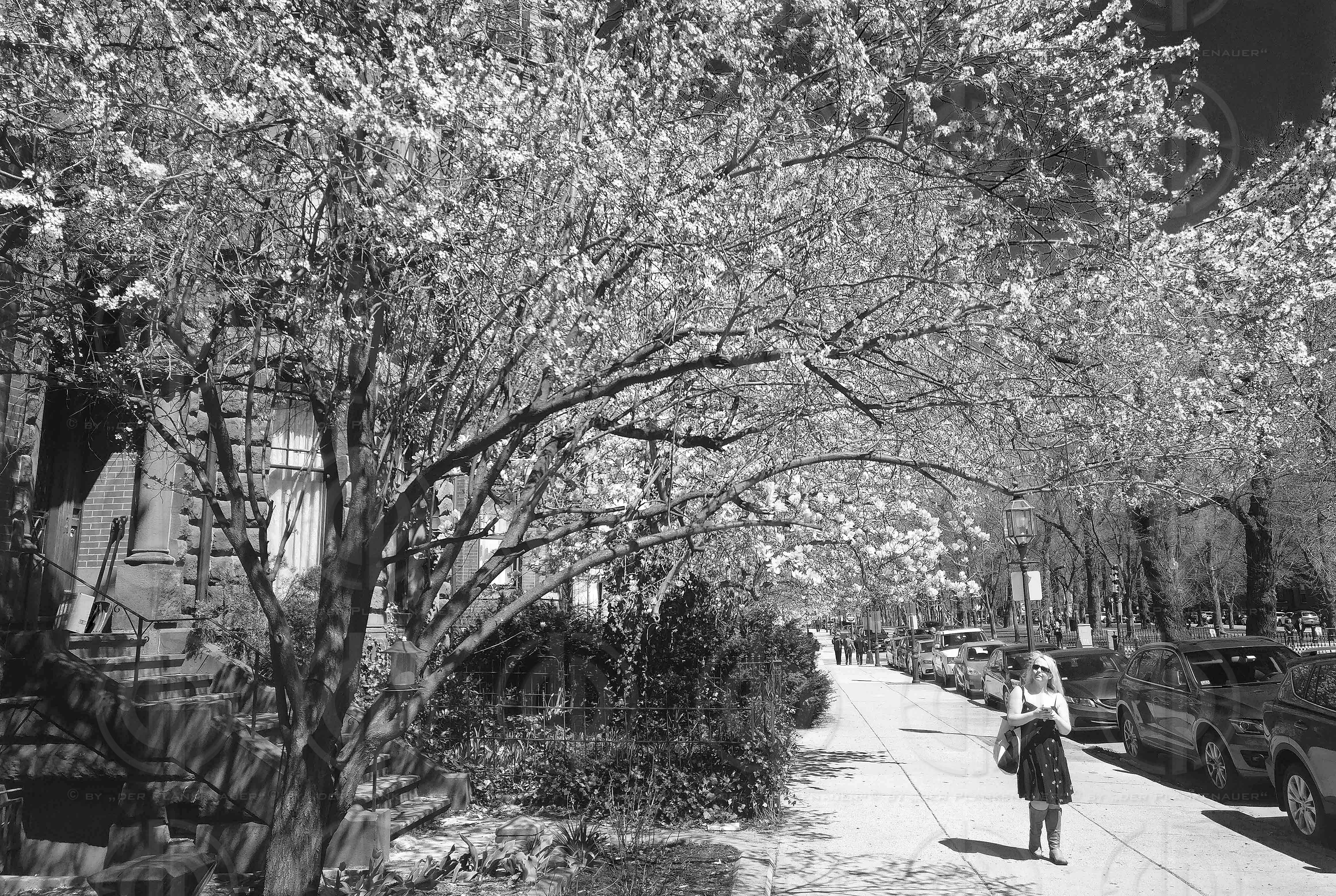 Boston Marathon 2019