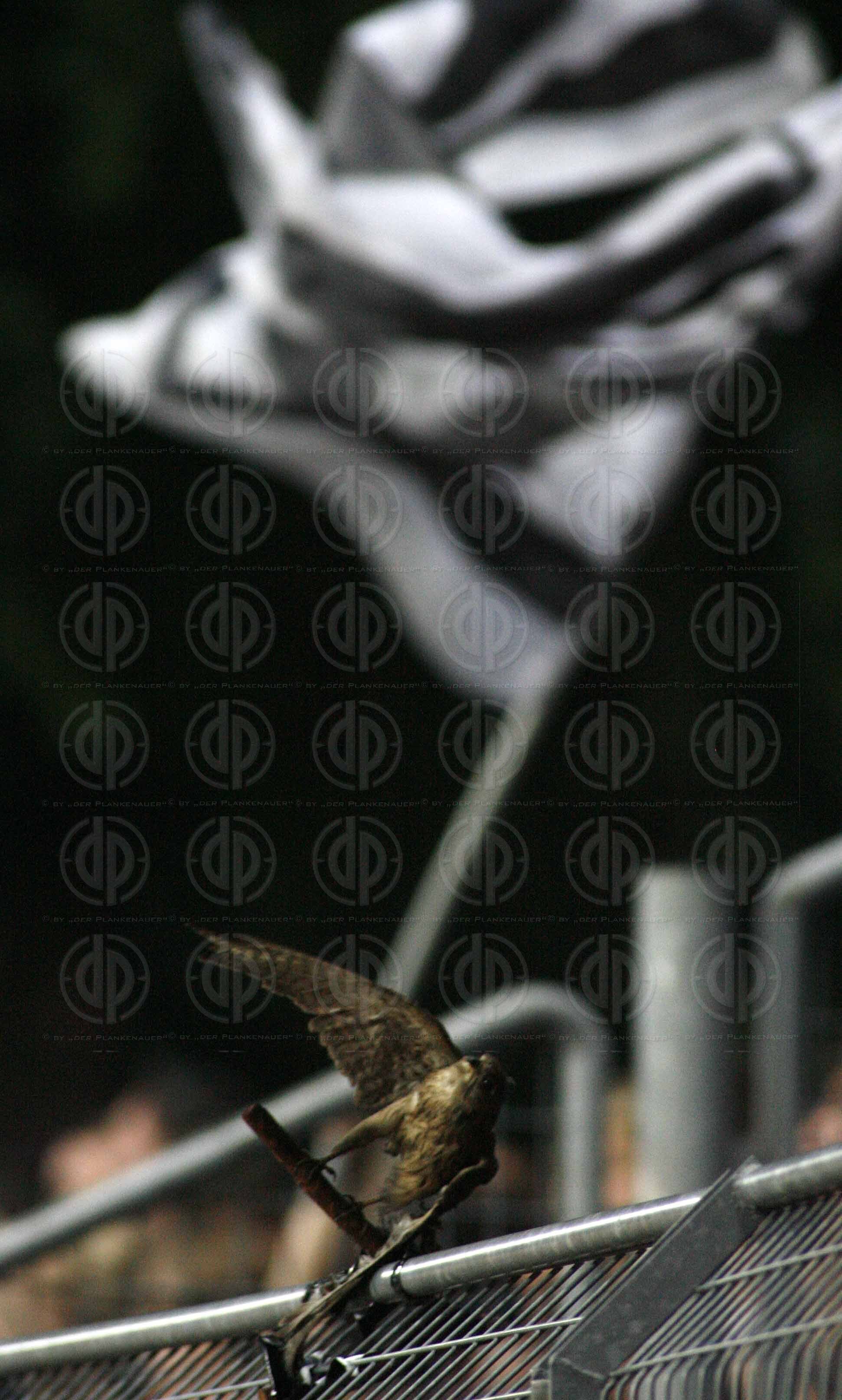 KSV Superfund vs. SK Sturm Graz