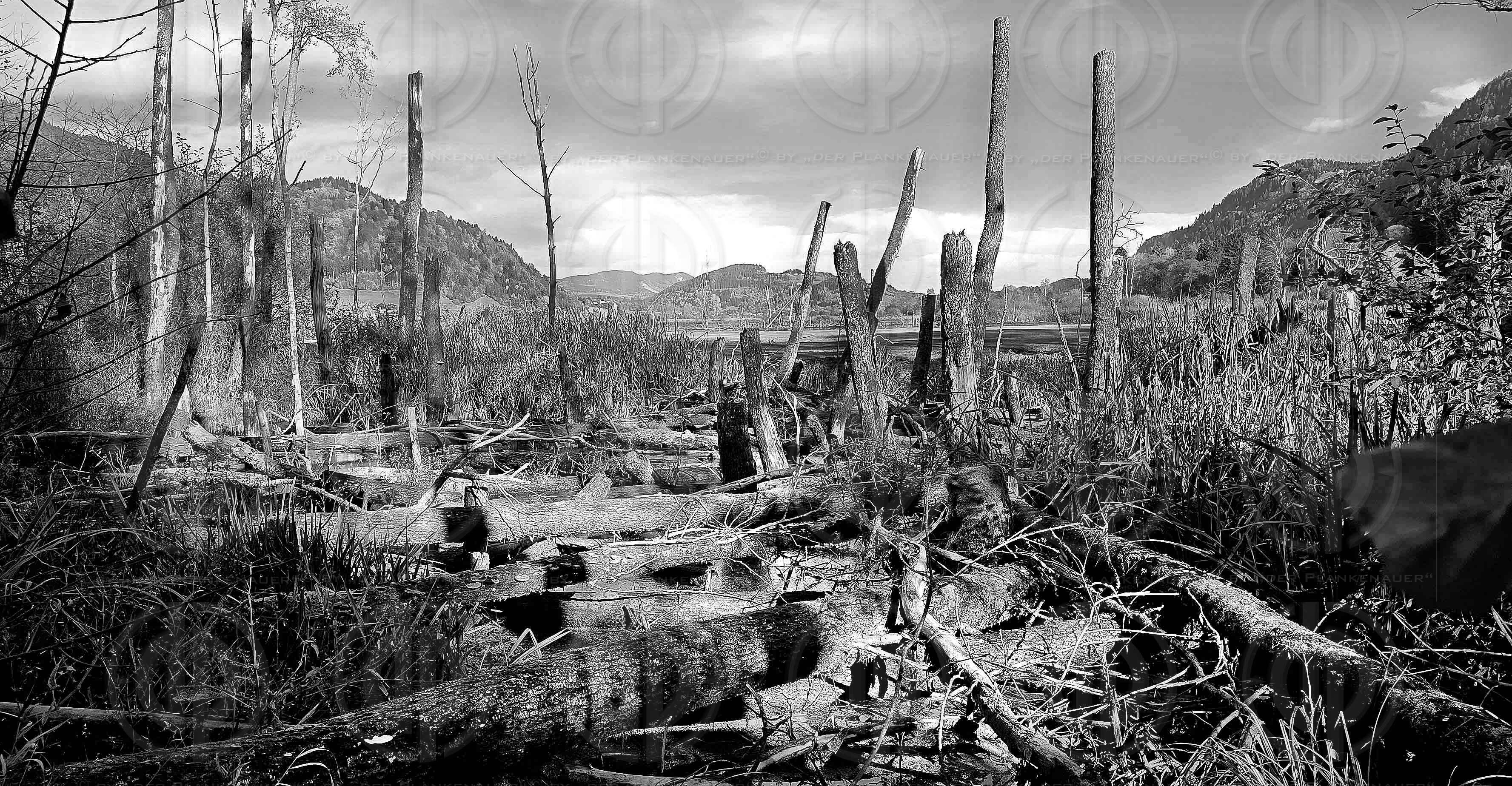 Slow Trail am Bleistätter Moor