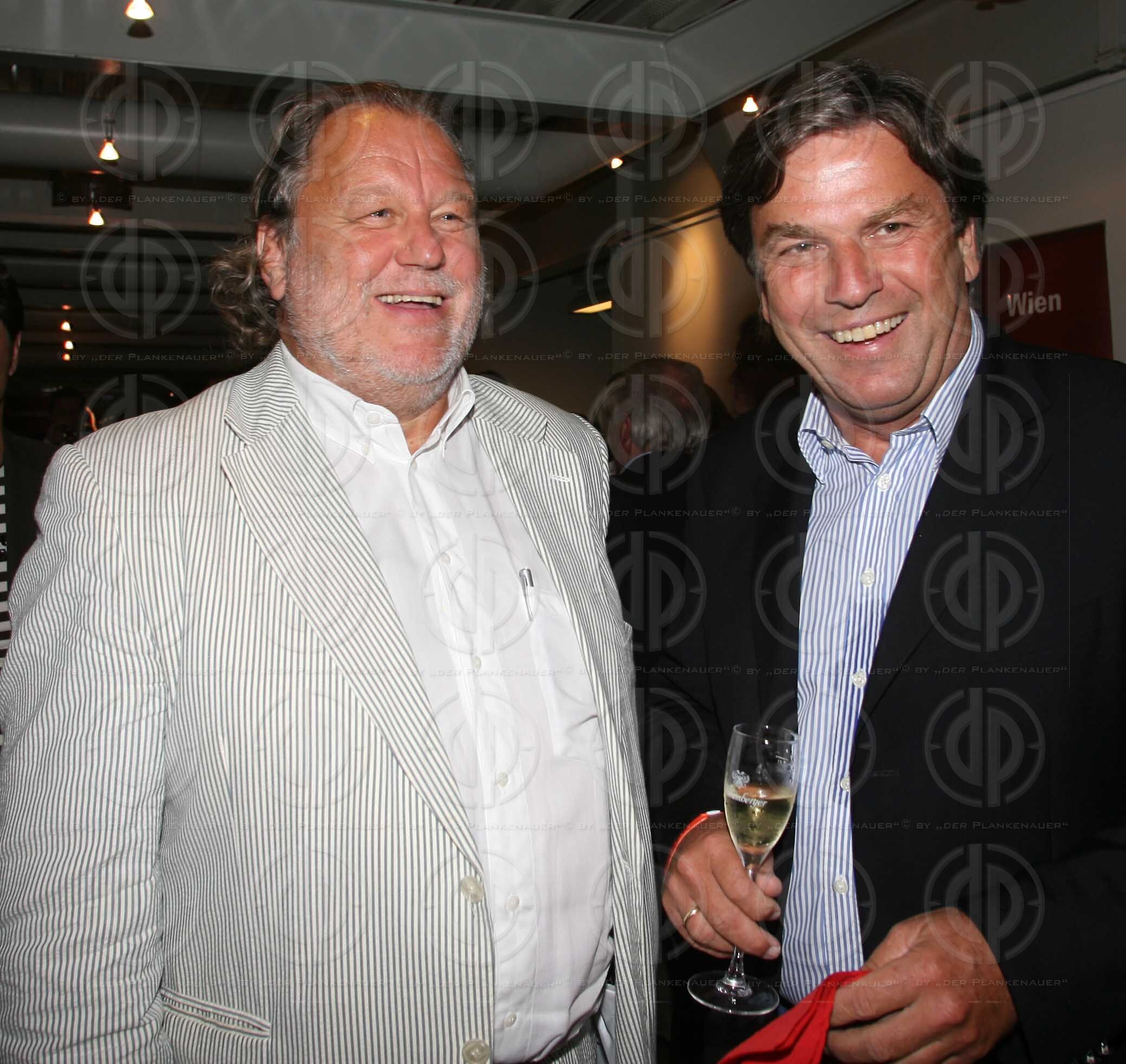 Länderspiel Österreich vs. Ungarn (1:2 Endstand)