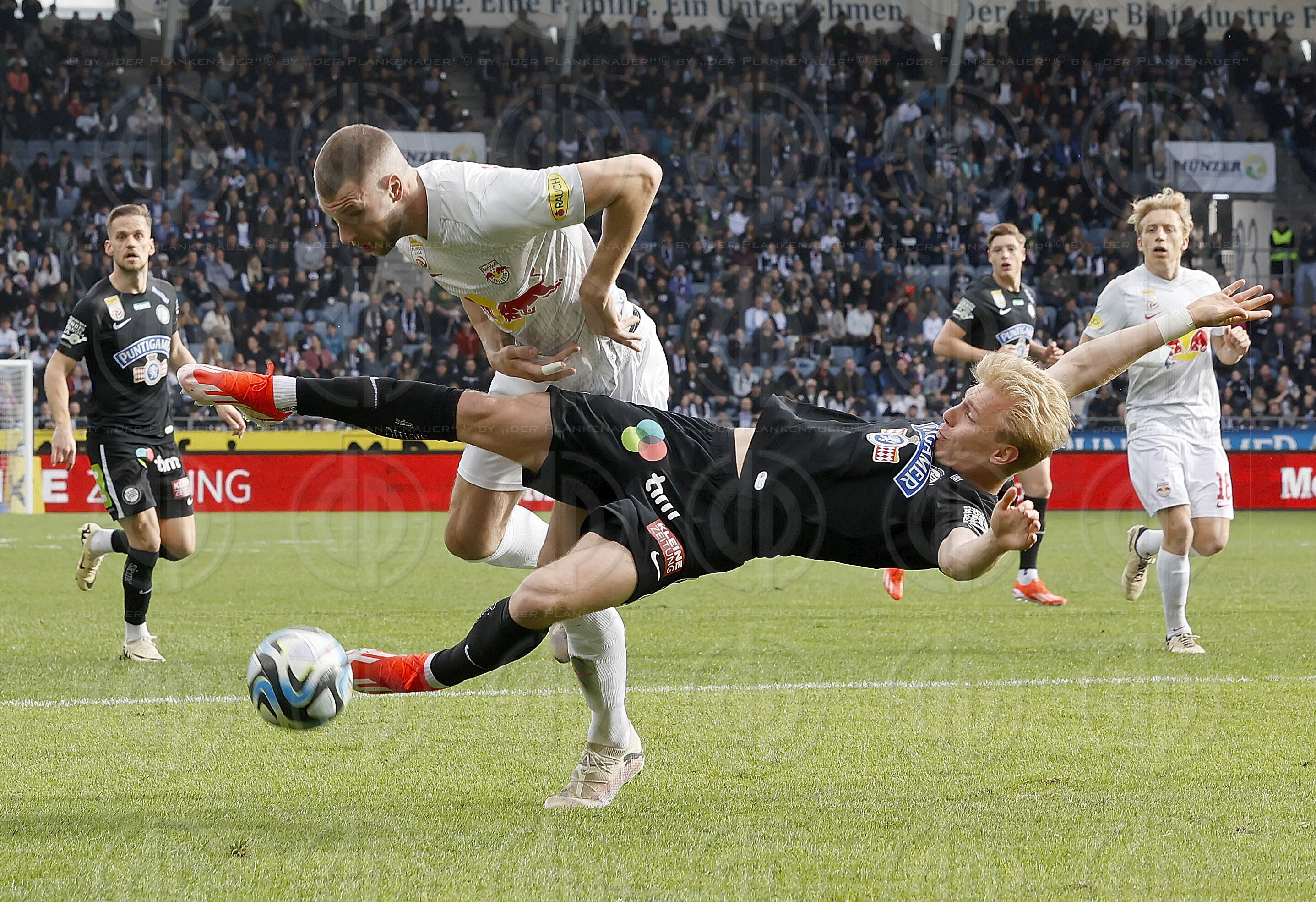 SK Sturm vs. FC RB Salzburg (0:1) am 31.03.2024