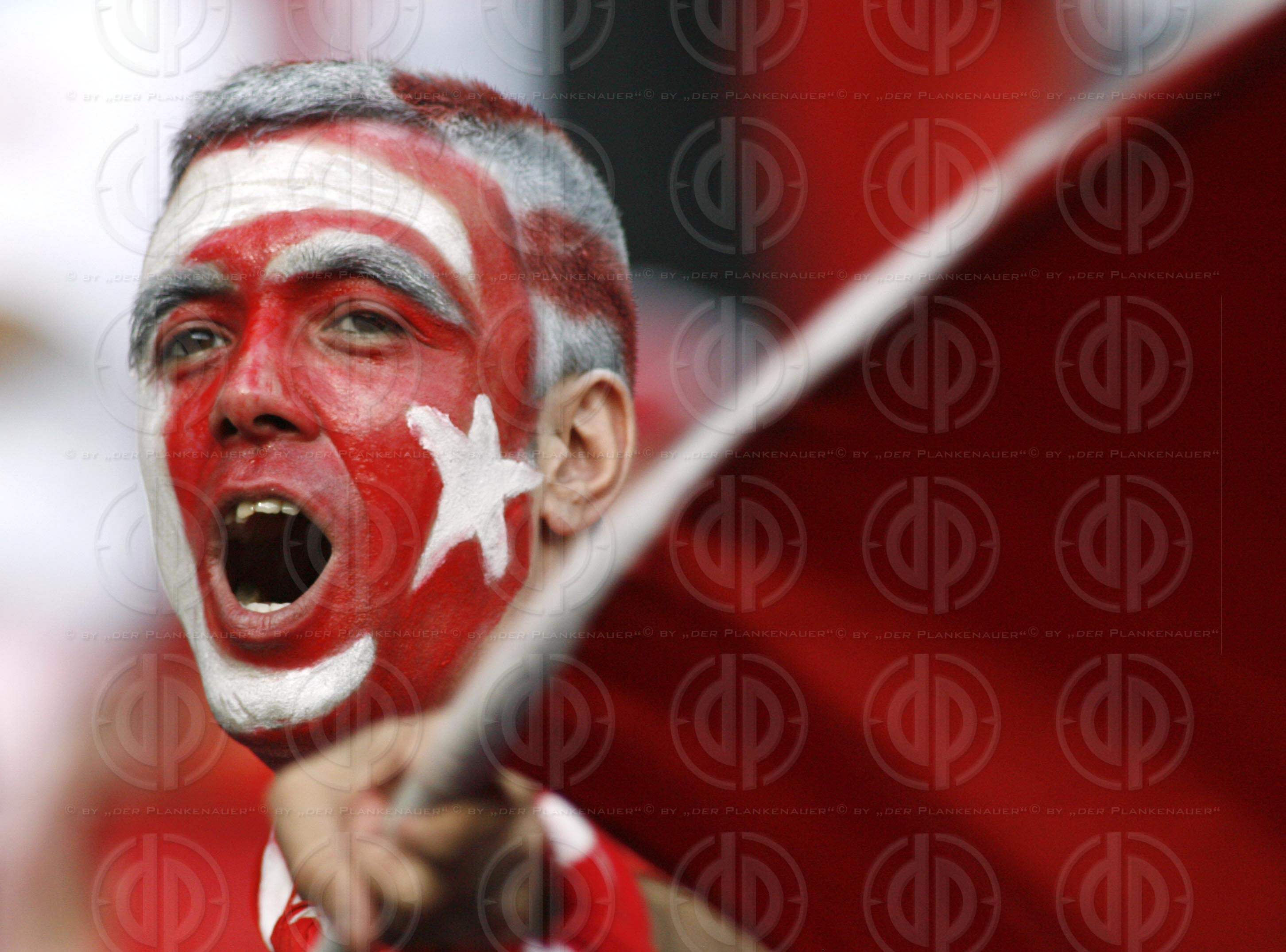 UEFA EURO2008 Kroatien vs. Türkei (2:4 n.E.)