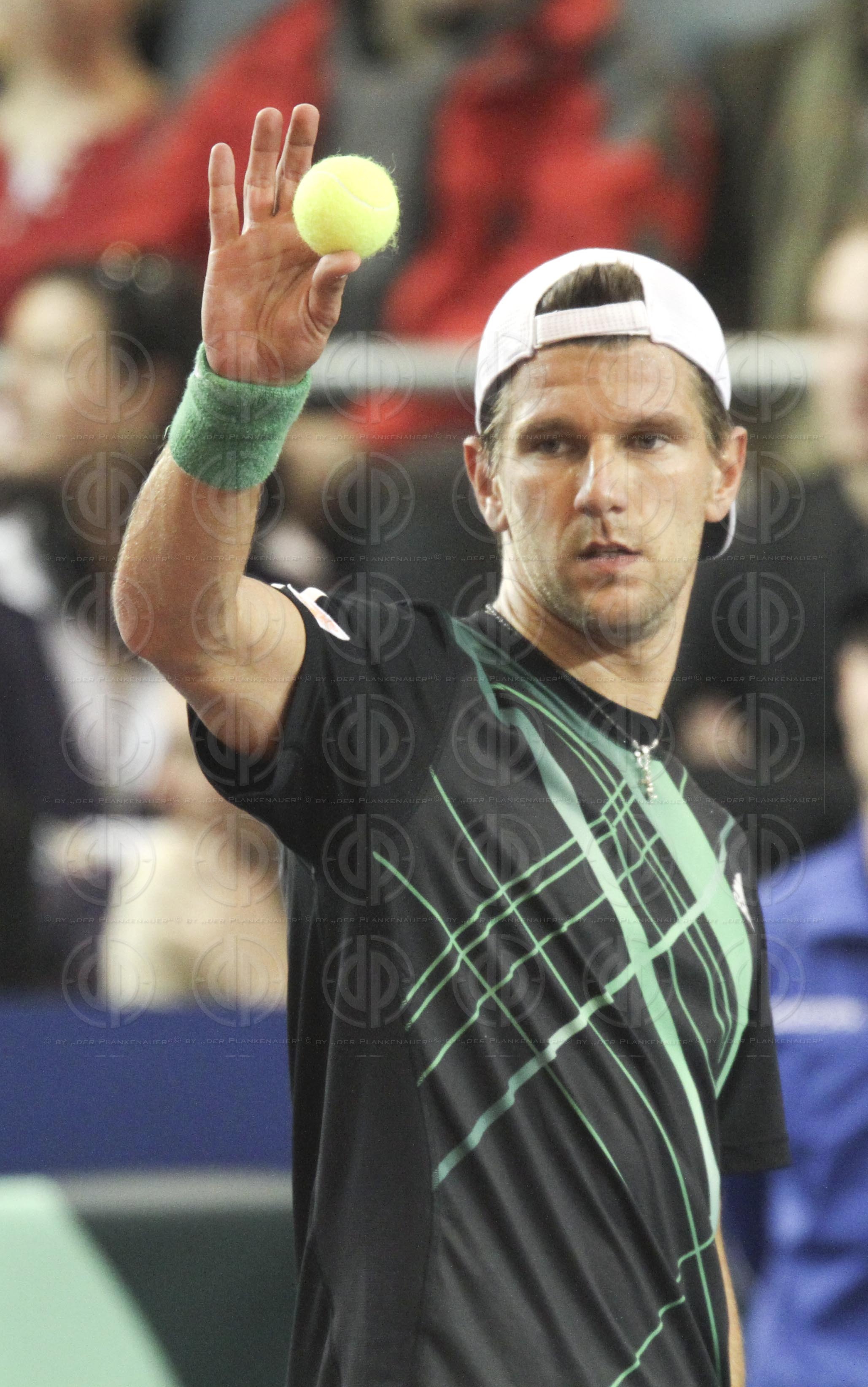 Davis Cup Öesterreich vs. Slowakei