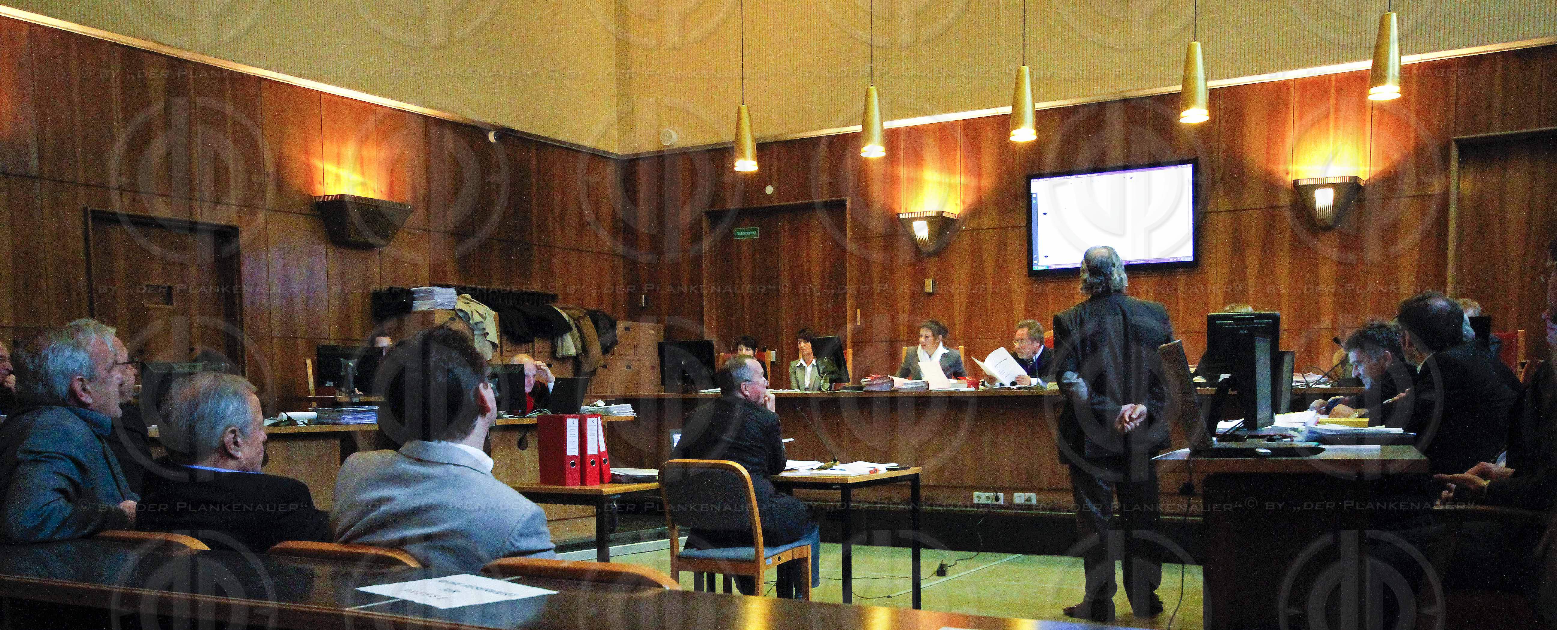 Strafverfahren gegen Hannes KARTNIG u.a.