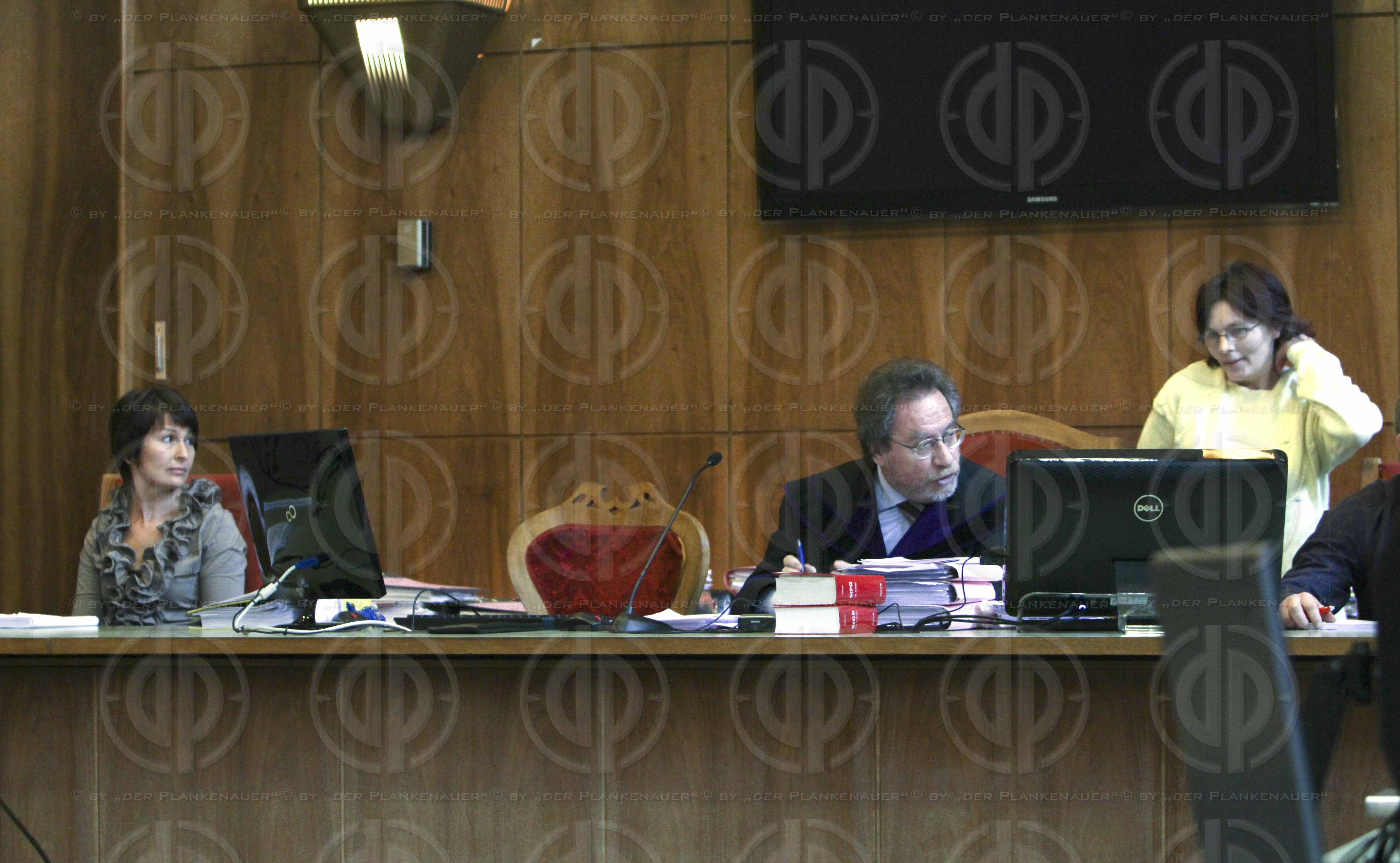 Strafverfahren gegen Hannes KARTNIG u.a.