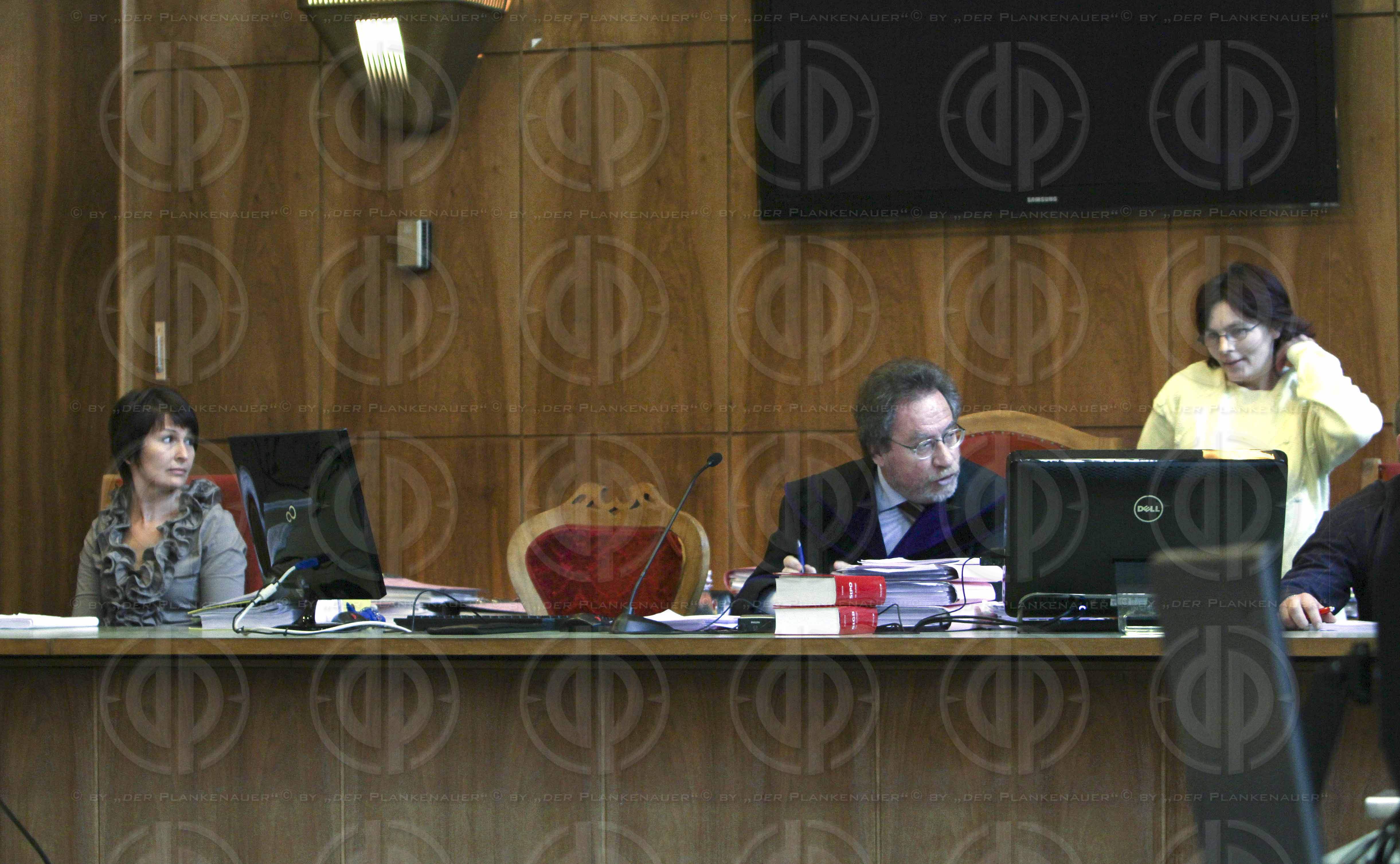 Strafverfahren gegen Hannes KARTNIG u.a.