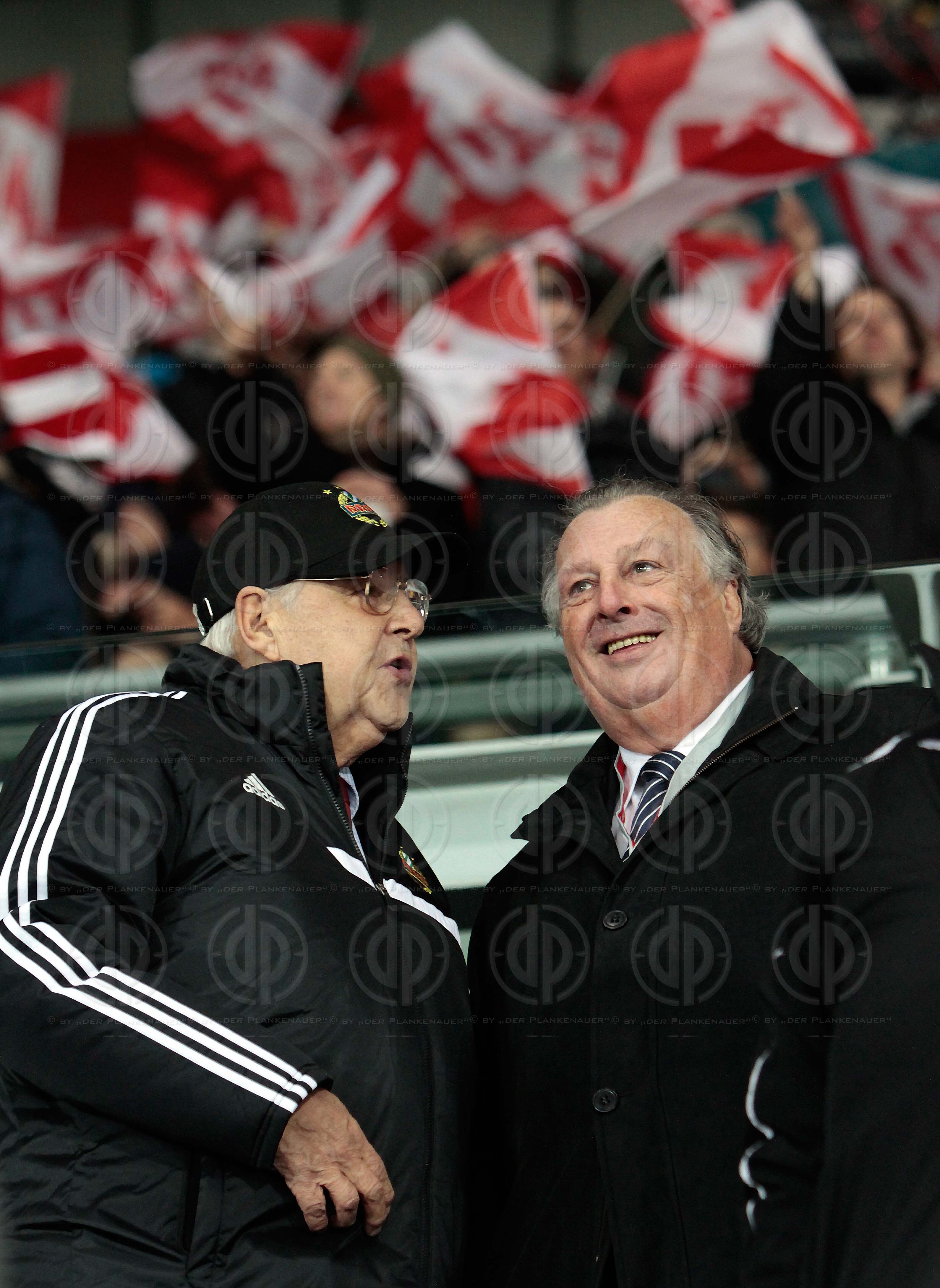 Freundschaftliches Laenderspiel Oesterreich vs. Brasilien (1:2)