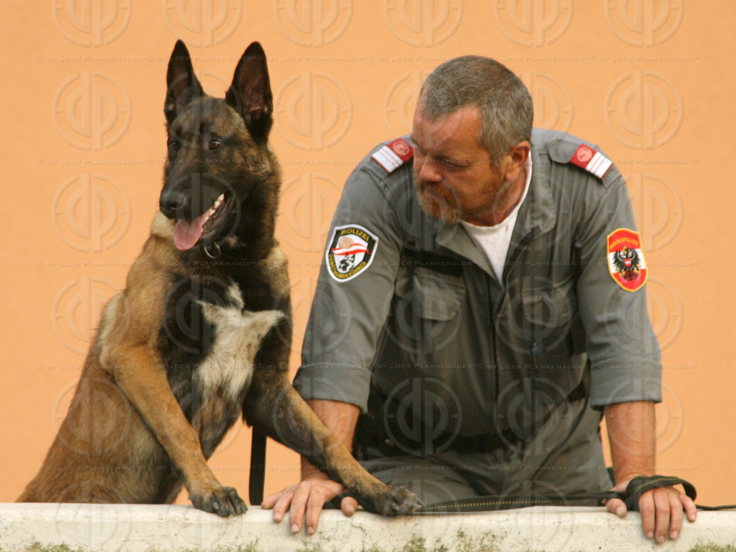 Herr und Hund beim Fussball