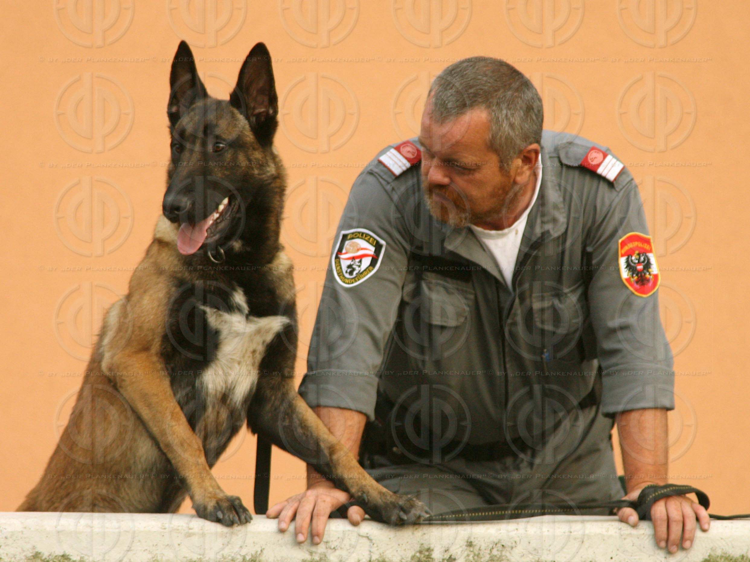 Herr und Hund beim Fussball