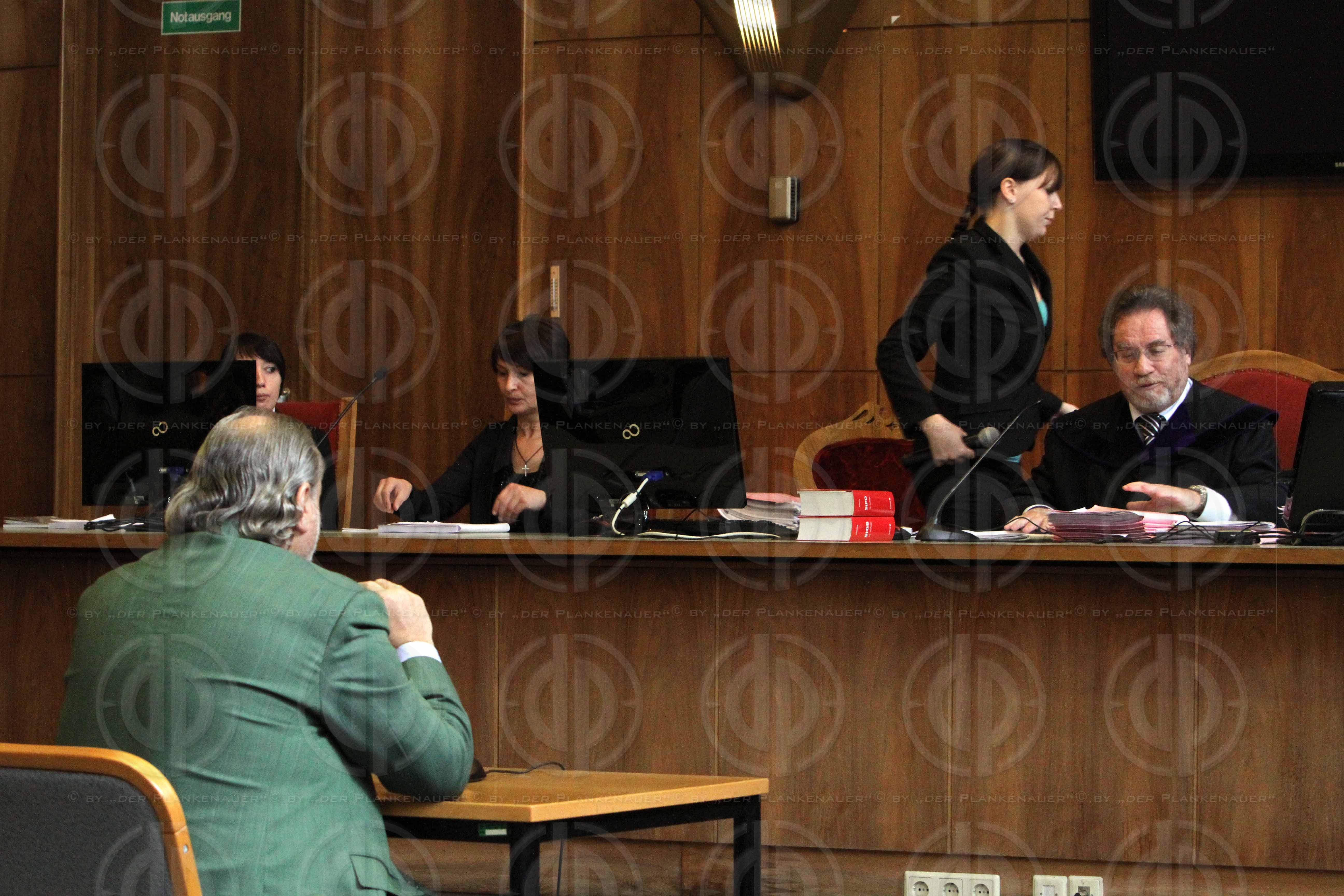 Strafverfahren gegen Hannes KARTNIG u.a.